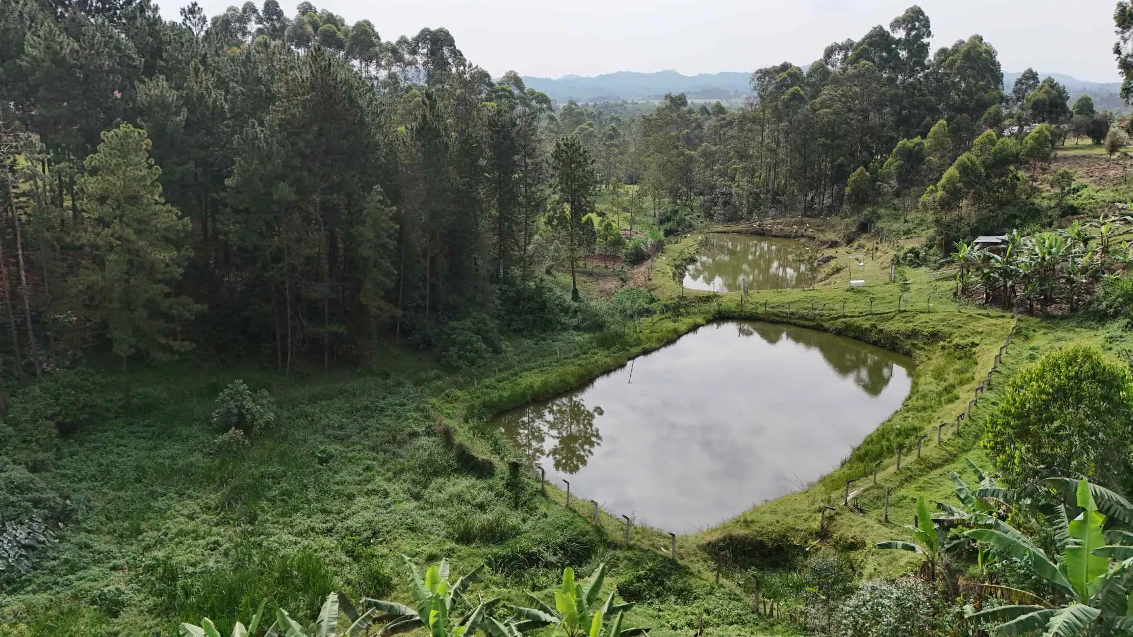 Paysage pittoresque d etang a Dynagric
