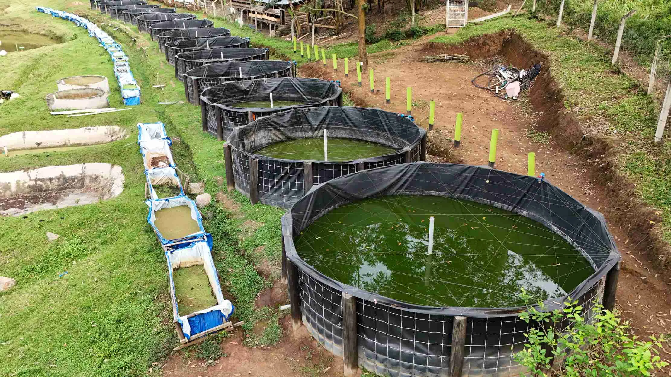 Vue rapprochee par drone des reservoirs de poissons
