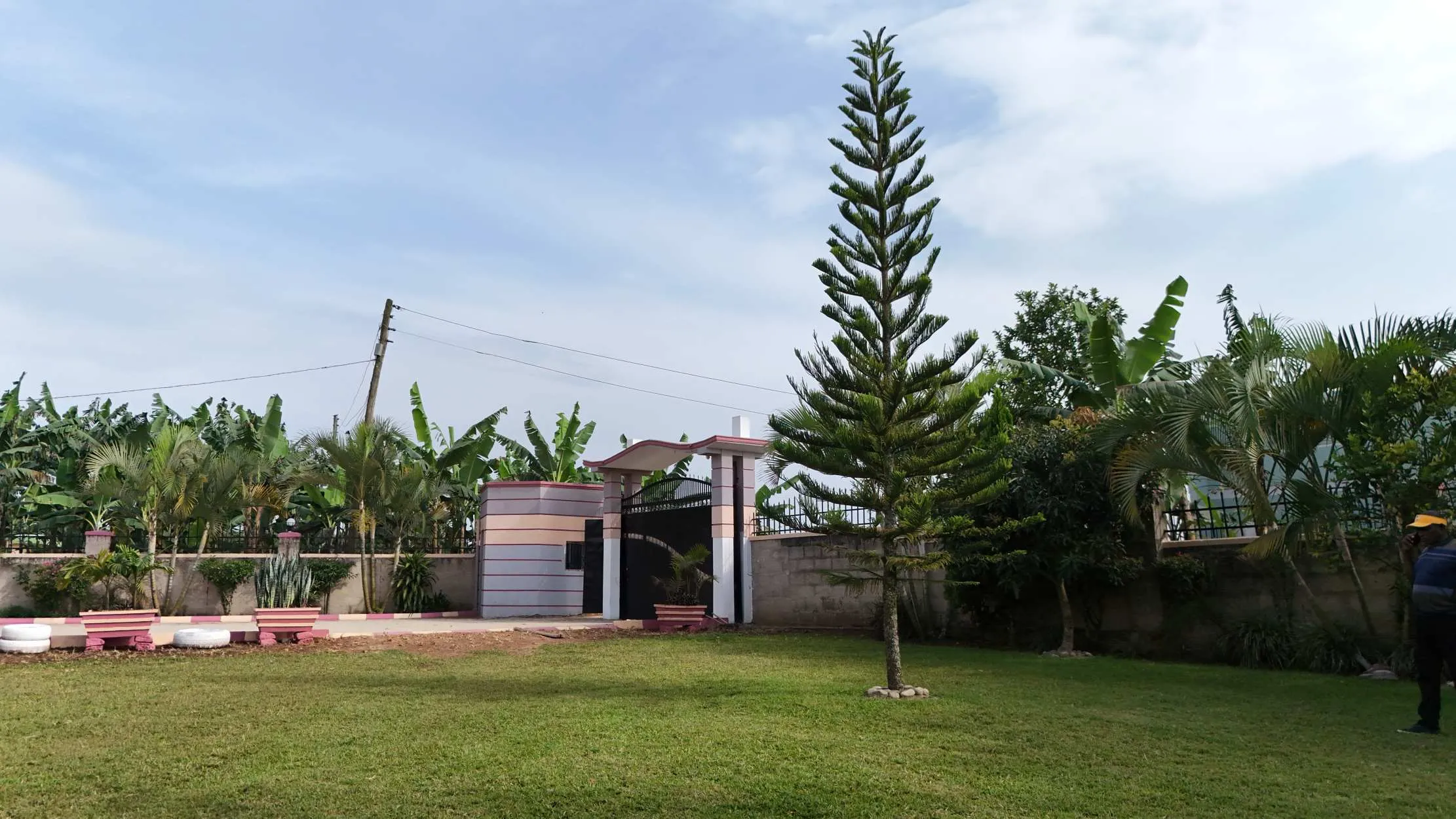 Vue matinale de la ferme Dynagric Ecotours au Centre de Kashenyi, district de Bushenyi