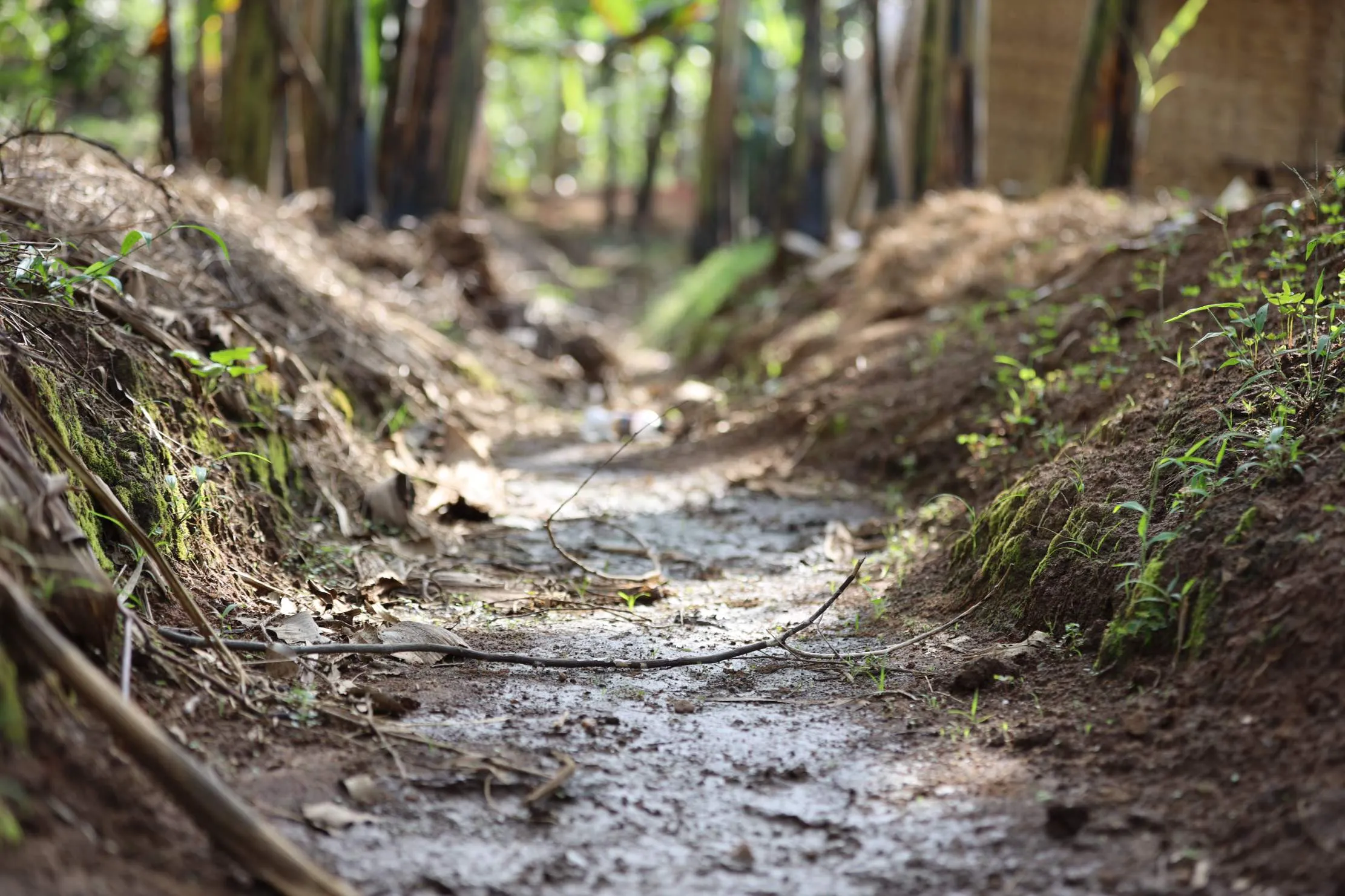 Chemin du canal d'irrigation a travers la ferme